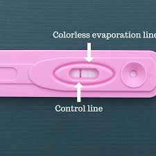 How To Interpret The Results Of An Evap Line On A Pregnancy Test Wehavekids