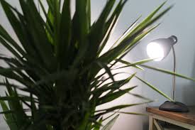 Aka, they'll help your team of greens reach their full growth faster than direct. Ge Grow Light Br30 Review Versatile And Inexpensive