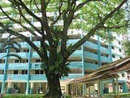 In 1973, it was subsequently developed as a housing estate and by 1980, the development of. 456 Ang Mo Kio Avenue 10 S 560456 Hdb Details Srx