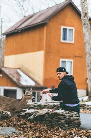 How This Internet Star And Deer Whisperer Is Helping Puerto Rico