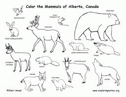 When it gets too hot to play outside, these summer printables of beaches, fish, flowers, and more will keep kids entertained. Prairie Animals Coloring Pages Coloring Home