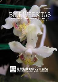 Keretapi tanah melayu berhad (ktmb) telah menawarkan beberapa jawatan kosong kepada seluruh warganegara malaysia. Biodiversitas Vol 7 No 3 July 2006 Abstract In English By Biodiversitas Unsjournals Issuu