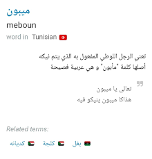 mo3jam.com is the absolute chaos of arabs trying to teach each other their  dialects which devolved into this: : r/AskMiddleEast