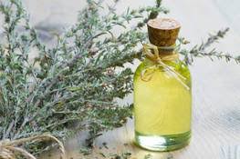 Kekik yağı nasıl yapılır ve kekiğin mucizevi faydaları/how to make thyme oil. Kekik Yagi Ne Ise Yarar Kekik Yaginin Faydalari Nelerdir Faydali Sosyal Haberler Saglik Haberleri
