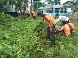 Terjemahan frasa kegiatan sosial dari bahasa indonesia ke bahasa inggris dan contoh penggunaan kegiatan sosial dalam kalimat dengan terjemahannya: Sambut Hari Bhayangkara Ke 73 Polres Mura Bersama Masyarakat Laksanakan Bhakti Sosial