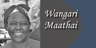 BECOME A SPONSOR: 2024 Environmentalist of the Year Awards