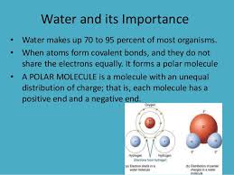 Dna from the beginning is organized around key concepts. Water And Biomolecules