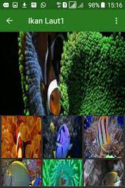 Dasar laut (kerajaan islam) is on facebook. Ikan Bawah Laut For Android Apk Download