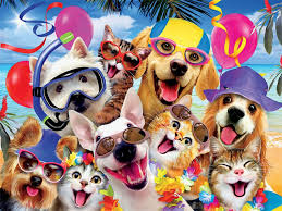 We did not find results for: Beach Party Selfies 550 Pieces Ceaco Puzzle Warehouse