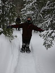 Aroostook state park travelers' reviews, business hours, introduction, open hours. Aroostook State Park A Maine State Park