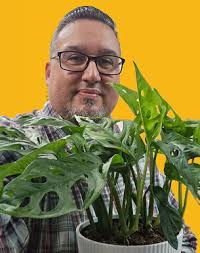 It's National Houseplant Appreciation Day