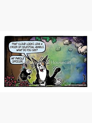 Parole Officer" Greeting Card for Sale by FuzzyPoet1 | Redbubble