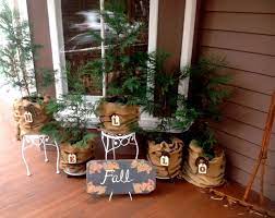 We did not find results for: Pin On East Coast Flowers Evergreen Floral Displays