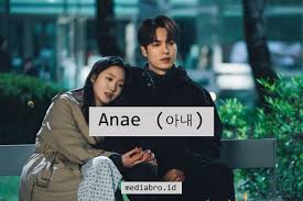 Panggilan sayang mampu membuat pasangan semakin romantis. 18 Panggilan Sayang Dalam Bahasa Korea Bahasa Koreanya Sayang
