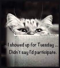 There is no way you can achieve a goal without being happy with yourself. Funny Tuesday Jokes