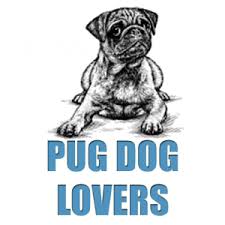Pug Lifespan When You Can Expect To Get Your Heart Broken Dogs Pugs Smelly Dog