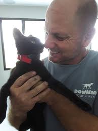 DogWatch Hidden Fences Brand