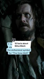 Sirius Black: The Pure-Hearted Member of the House of Black