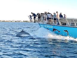 Dolphin cruise in Pensacola