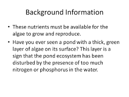 Wowgrowalgae highly mineralized plant fertilizers concentrated formulas from klamath lake, oregon helps farms & gardens thrive! The Effect Of Fertilizer On Algae Ppt Video Online Download