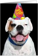 Happy birthday marine corps integrity is doing that thing which is right, when no one is looking. Bulldog Birthday Cards From Greeting Card Universe