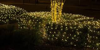 Christmas net lighting is simple to install and looks spectacular on trees and shrubs. Net Lights And Tree Wraps