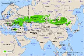 A Map Of The Steppes Asia Map Eurasian Steppe Steppe