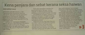March 9, 2021 march 9, 2021 tok mudim 0 comments #bunuh kucing guna parang, #jaferi suman, #kampung timbang dayang, #lovely natasha charles, #mahkamah majistret kota belud, #mohd u'kasyah hashim, #penggal kucing, #seksyen 428 kanun. Facebook