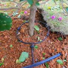 Fruit trees do not need to be watered, and will not die in the winter. 20m New Irrigation Shunt Tube Drip Hose Emitters Fruit Trees Bonsai Plants Saving Water Drip Lines Irrigate Diverting Pipe Garden Sprinklers Aliexpress