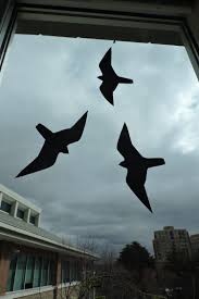 Vogel Silhouette Am Fenster Macht Glasscheiben Vogelsicher Vogel Silhouette Leinwandbilder Abstrakt Glasscheiben