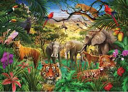 Jungle (countable and uncountable, plural jungles). Amazon Com Jungle Life 1000 Piece Jigsaw Puzzle 9781441330574 Inc Peter Pauper Press Books