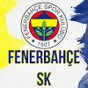 Genel ve yerel seçim sonuçları? 3
