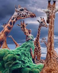 Zurafalarin Dedigi Gibi Boynunuzu Disari Cikarmadikca Yaprak Alamazsiniz Haydi O Zaman Cikarin Boyunlari Yukari Bakalim H In 2020 Kenya Photography Photography Lovers