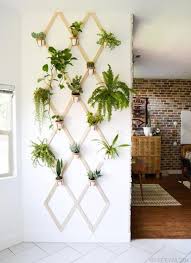 A Trellis Wall To Make Your Own Indoor Green Space Indoor Mini Garden Trellis Plants Plant Wall