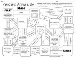 Although animal cells lack these cell structures, both of them have nucleus, mitochondria, endoplasmic reticulum, etc. Plant And Animals Cells Maze Worksheet For Review Or Assessment Tpt