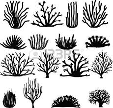 Tom ist begeisterter meerwasseraquarianer und züchtet korallen. Hand Gezeichnet Korallen Isoliert Auf Weiss Silhouette Symbole Koralle Kunst Zeichnung Fisch Kunst
