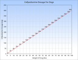 In some cases, your veterinary expert might diagnose an infection in your dog's respiratory tract and joints as well. Simplicef For Dogs Veterinary Place