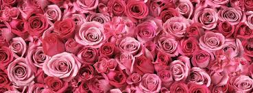 Flowers by sharon proudly serves shelbyville and the surrounding areas. Flowers By Sharon Home Facebook