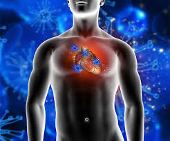 verse 2 my innards turn, your eyes, they roll i'll be there to take the like cardiac arrest, high voltage in her lips i'll try my best, how much do i invest? Knowing The Difference A Heart Attack And Cardiac Arrest Can Save Your Life