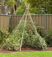 How To Make A Living Teepee Grow The Ultimate Outdoor Cubby For Your Littlies They Ll Totally Dig It Backyard Home And Garden Better Homes And Gardens
