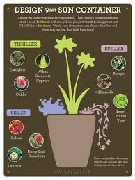 Container Design For Sun Simple Style Solutions Swansons Nursery Seattle S Favorite Garden Store Since 1924 Container Gardening Flowers Container Garden Design Potted Plants Outdoor