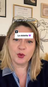 Les Violets Ln Faut Combiend E Temps