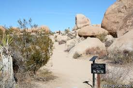 Maybe you would like to learn more about one of these? Arch Rock Trail Joshua Tree Hikespeak Com
