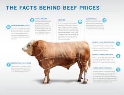 Infographic Facts Behind Beef Prices Jpg 3300 2550 Animal Science Beef Prices Agriculture Facts
