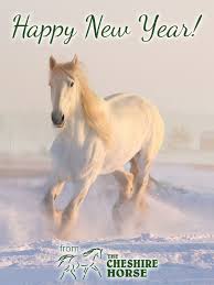 Every day new pictures, screensavers, and only beautiful wallpapers for free. Happy New Year From The Cheshire Horse The Cheshire Horse