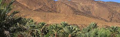 Check spelling or type a new query. All Inclusive Marokko Gunstig Buchen Bei Urlaub De