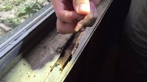 We are florida's premier pest control company. Beachside Termite And Pest Control Home Facebook
