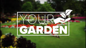 Succession Planting Now Is The Time To Reseed For Your Fall Vegetable Garden Cbs19 Tv