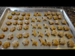 Member recipes for grain free dog biscuits. How To Make Pumpkin Dog Treats Low Fat Healthy Youtube