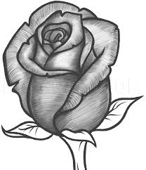 Check spelling or type a new query. How To Draw A Rose Bud Rose Bud Step By Step Drawing Guide By Dawn Dragoart Com